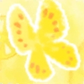 Lemonade Lemonade