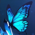PUPA PUPA