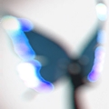 PUPA (xi Remix) PUPA (xi Remix)
